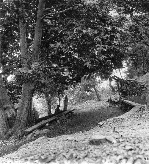 Fosco Maraini's photographs of the altar of Mahandeo Dur among the Kalash people of the Bumboret Valley in Chitral