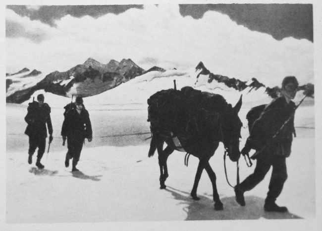 A detachment of German mountain troops crosses a high-altitude snowfield in the Caucasus in 1942