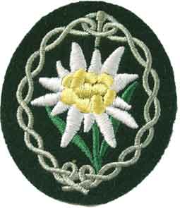 The edelweiss flower, tactical emblem of the German 1st Mountain Division of Gebirgsjäger